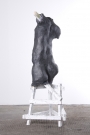 <p>Toroso 1<br /><br />2008<br />Mixed media<br />185 x 150 x 2 cm</p>